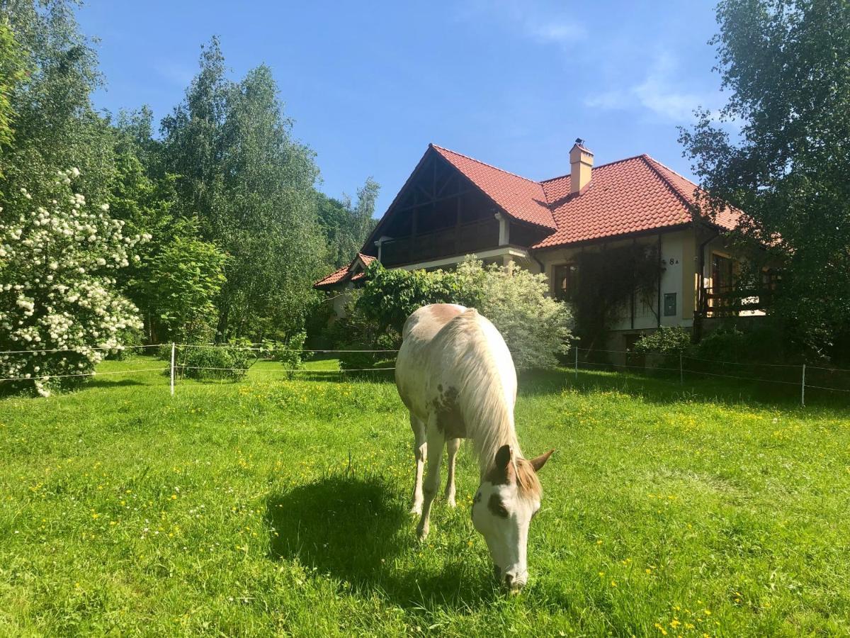 Modryna Ranczo Panzió Krasiczyn Kültér fotó
